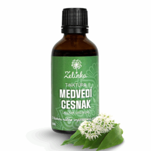 tinktúra medvedí cesnak