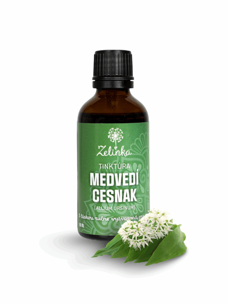 tinktúra medvedí cesnak