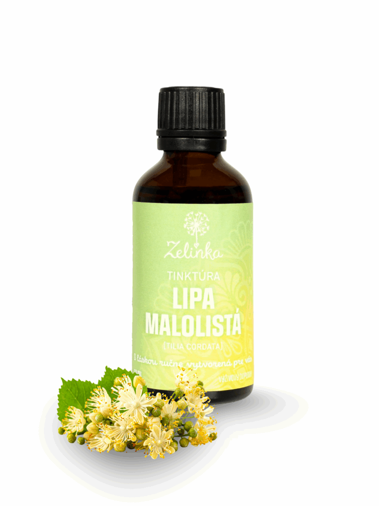 Tinktúra lipa malolistá