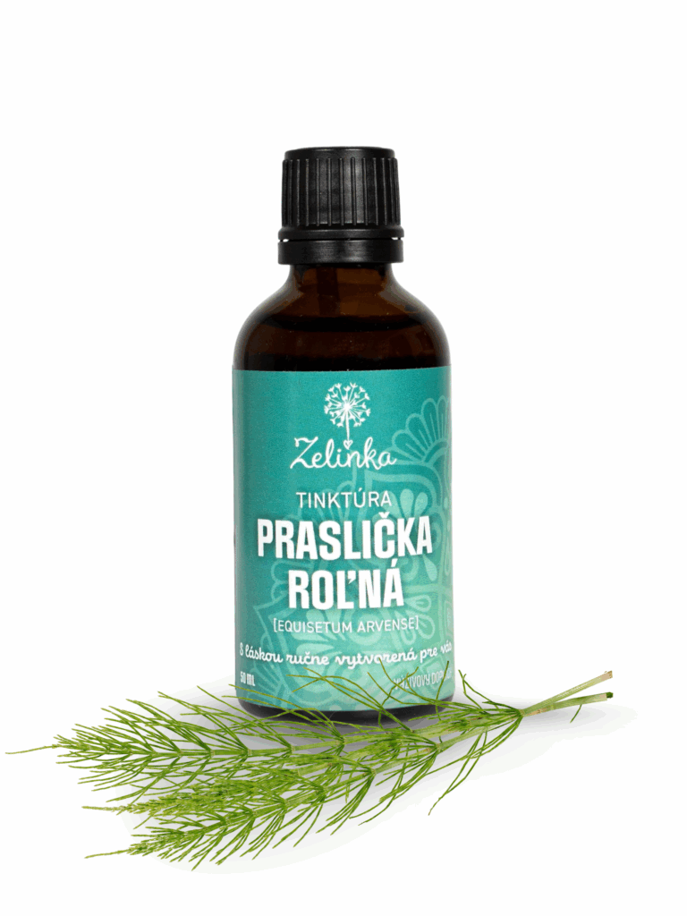 Tinktúra Praslička roľná