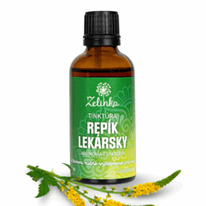 Tinktúra repík lekársky
