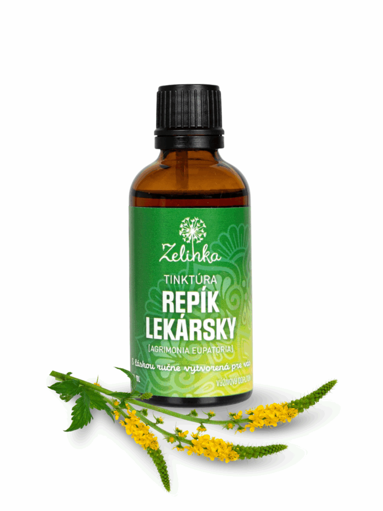 Tinktúra repík lekársky