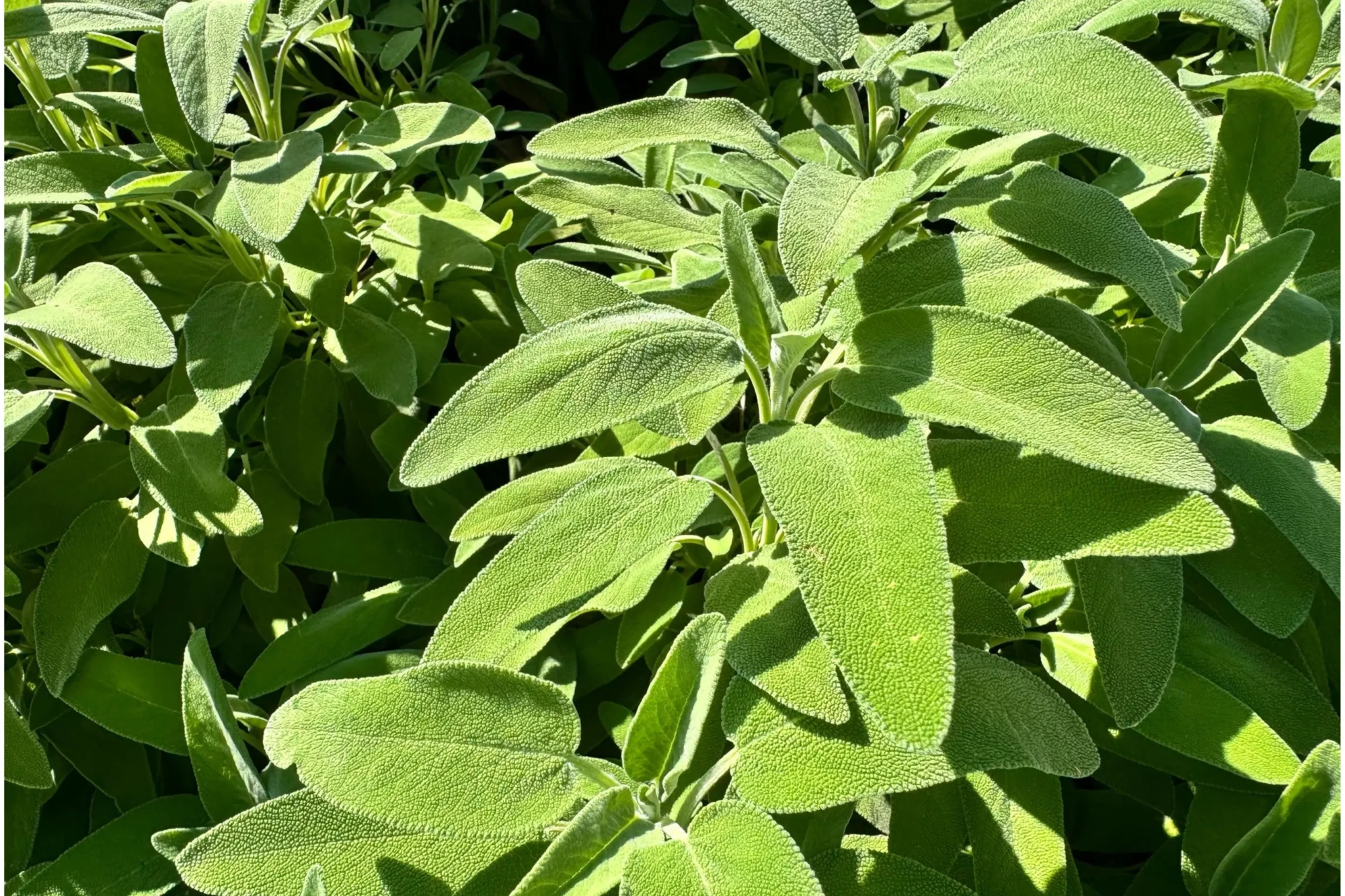 Bez názvu (2700 x 1800 px)