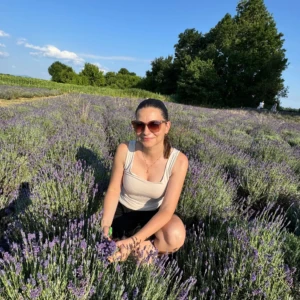Zber levandula